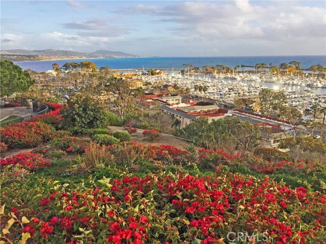 Detail Gallery Image 50 of 53 For 33972 Chula Vista Ave, Dana Point,  CA 92629 - 3 Beds | 3 Baths