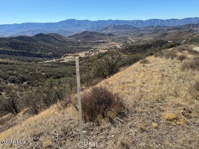 Detail Gallery Image 2 of 14 For 4700 Shannon View Rd, Acton,  CA 93510 - – Beds | – Baths