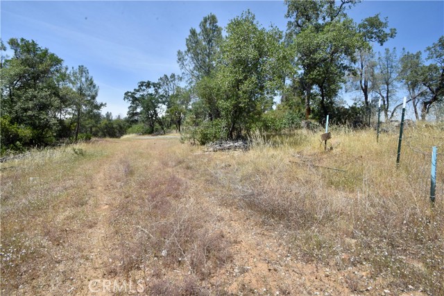 0 Mackey Court, Oroville CA: https://media.crmls.org/medias/f7ec23b4-df57-4a4b-93f1-536c719e8ff5.jpg