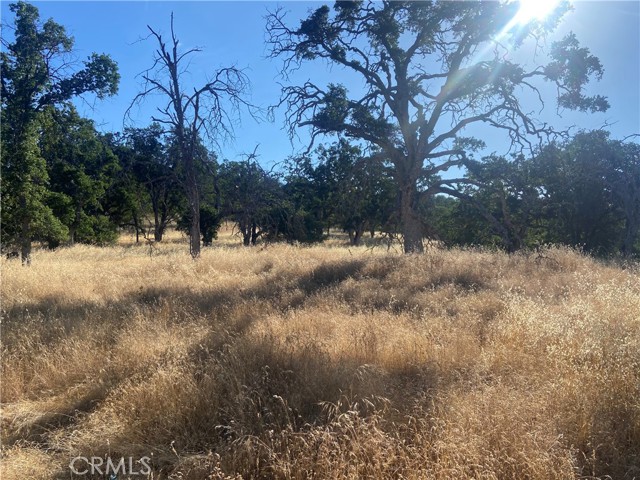 0 State Hwy 140, Mariposa CA: https://media.crmls.org/medias/f7f16f09-d394-4536-be9c-dd4f30013e4b.jpg