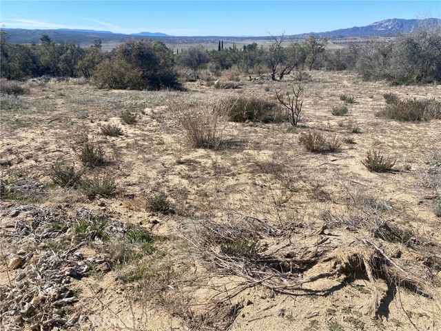 0 Valarie, Anza, CA, 92539 0 Valarie, Anza, CA, 92539