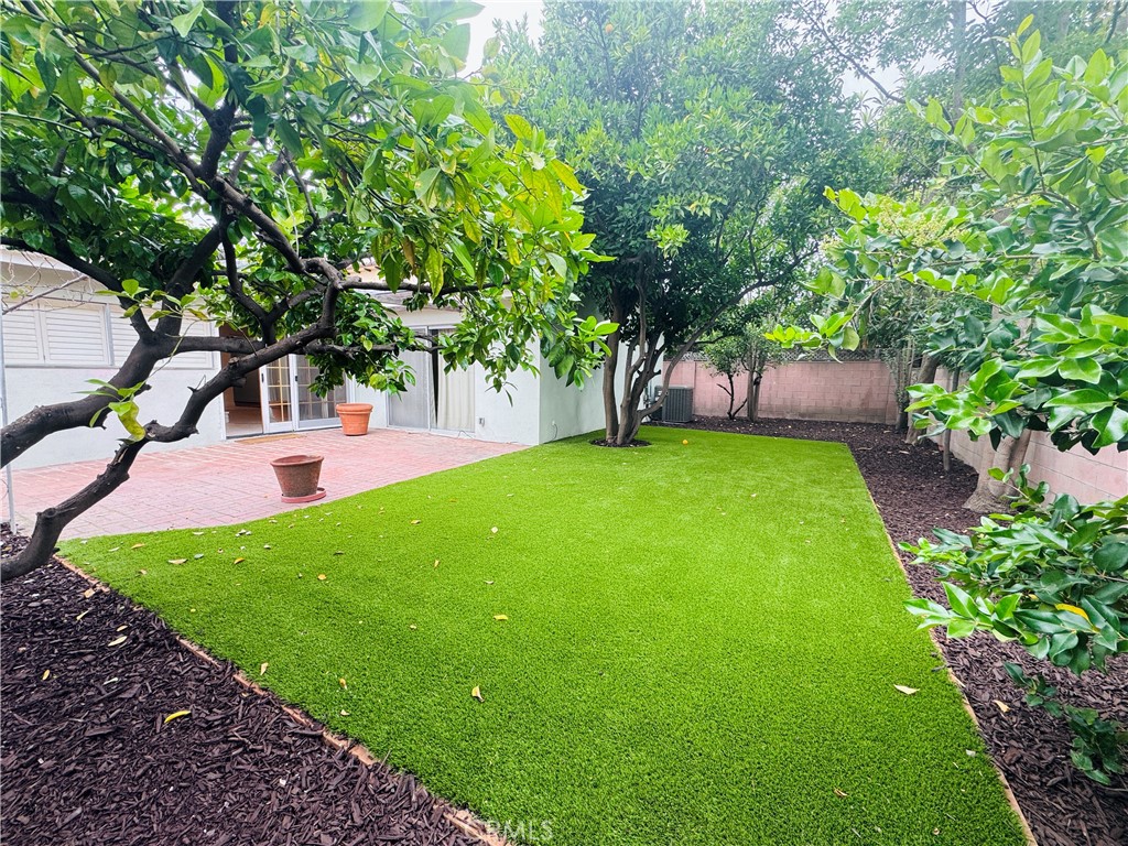 12538 Collins