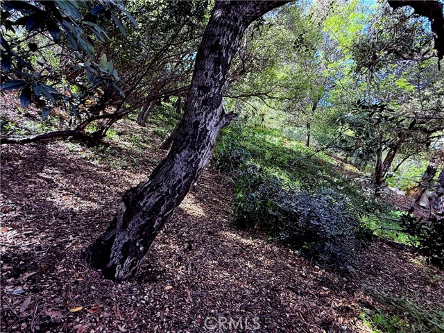 11472 Laurelcrest dr, Studio City CA: https://media.crmls.org/medias/f808c4af-aa76-4026-9b76-9f10e6782b2c.jpg