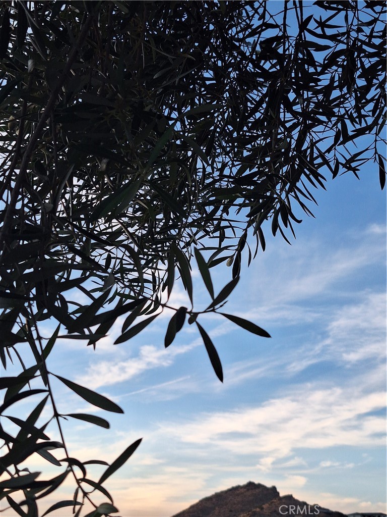 https://media.crmls.org/medias/f80ede82-907a-4aa5-bcf3-54bdcb8847ff.jpg?preset=X-Large