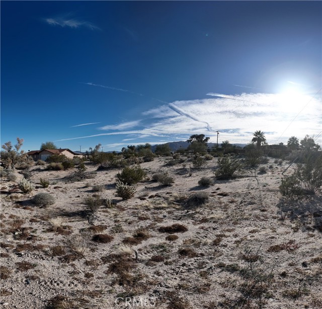 Front Image Thumbnail for CRIV26024124