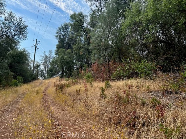 Detail Gallery Image 6 of 10 For 10 Ac Miller Rd / Old Hwy, Mariposa,  CA 95338 - – Beds | – Baths