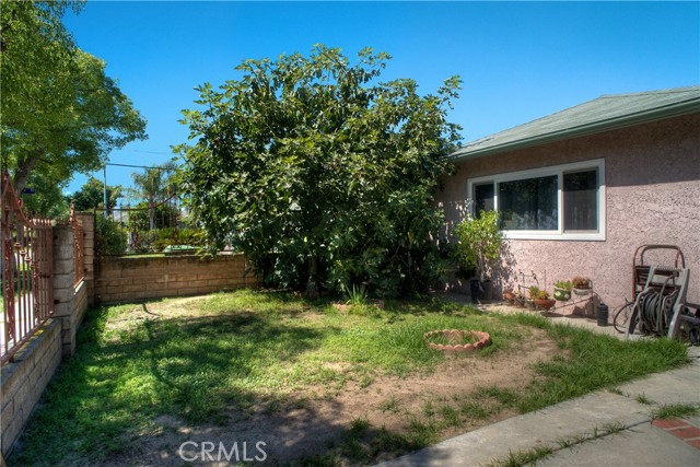 FRONT YARD WITH THE FIG TREE