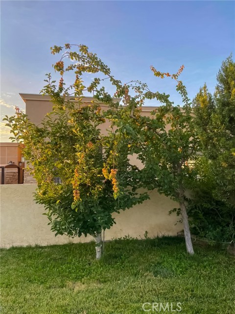 42722 20th W Street, Lancaster CA: https://media.crmls.org/medias/f81b5088-0776-4c8d-a6f0-ffbed95a2efd.jpg