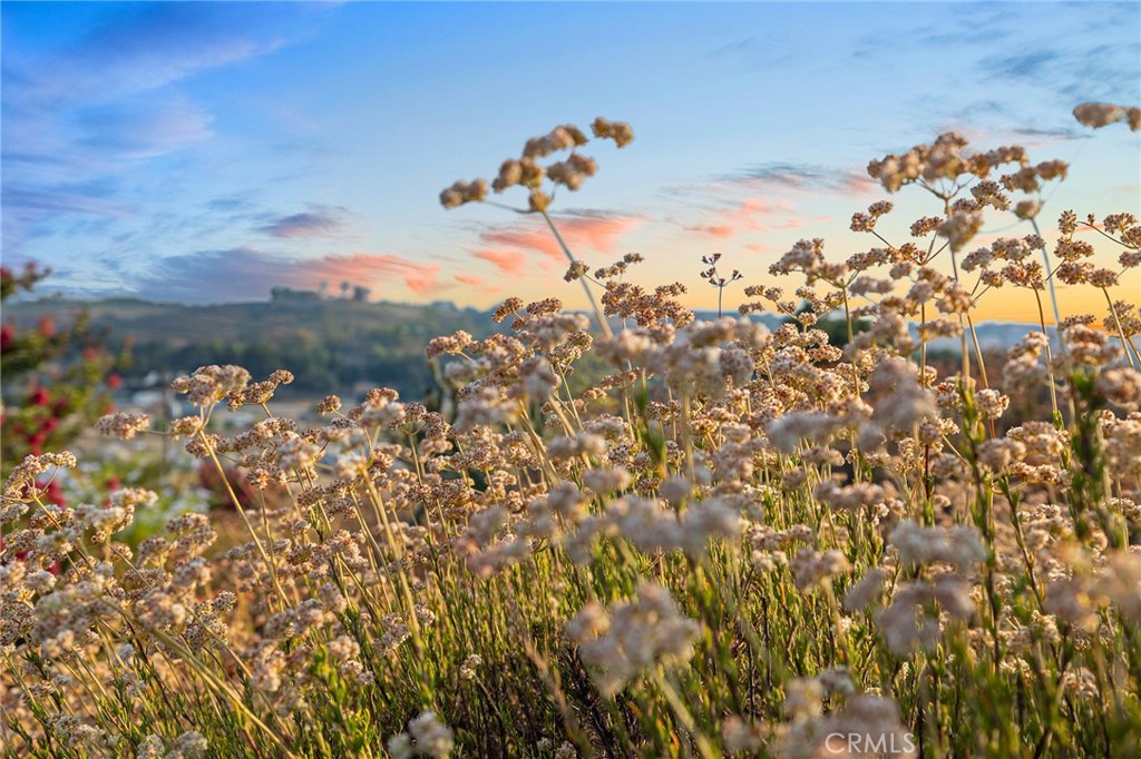 https://media.crmls.org/medias/f81e34ab-233b-4656-8bfc-49252b0059c5.jpg?preset=X-Large