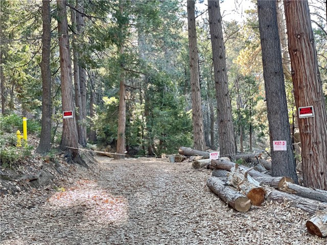 Detail Gallery Image 2 of 31 For 0 Fernland Dr, Idyllwild,  CA 92549 - – Beds | – Baths