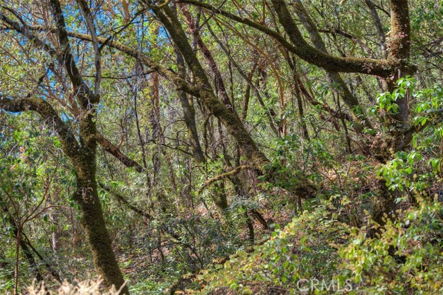 0 Wicks, Oroville, CA, 95966 0 Wicks, Oroville, CA, 95966