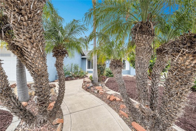 Detail Gallery Image 11 of 45 For 2423 Waxwing Ave, Ventura,  CA 93003 - 4 Beds | 2 Baths