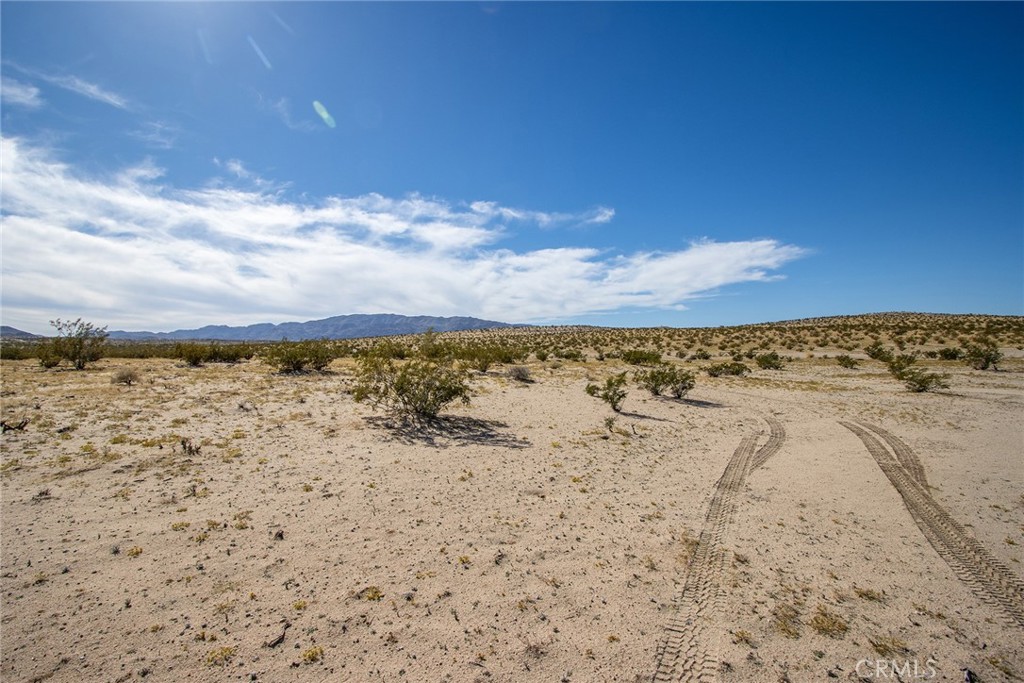 MLS #JT25255739 image #8