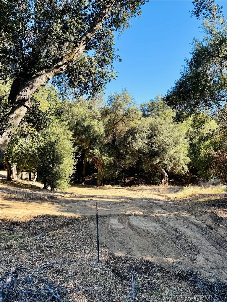 MLS #OC25262578 image #22