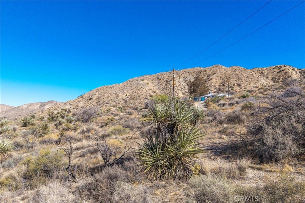 MLS #JT25257903 image #15