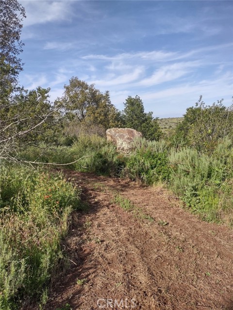 0 Avenida Perla Bonita, Murrieta CA: https://media.crmls.org/medias/f83b111e-091b-409c-9eed-ae83d7341e45.jpg