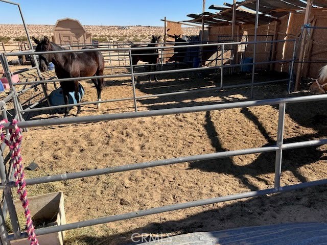 Detail Gallery Image 8 of 12 For 77655 Two Mile Rd, Twentynine Palms,  CA 92277 - – Beds | – Baths