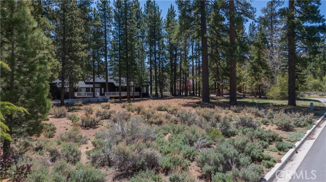 Detail Gallery Image 13 of 40 For 0 Marina Ct, Big Bear Lake,  CA 92315 - – Beds | – Baths