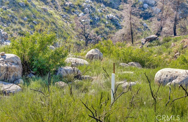 Detail Gallery Image 33 of 52 For 2 Decker Canyon Road, Ortega Mountain,  CA 92530 - – Beds | – Baths
