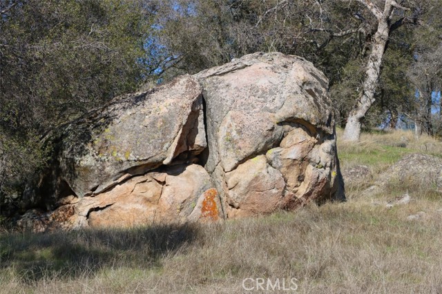 Detail Gallery Image 35 of 47 For 40461 Long Hollow Dr, Coarsegold,  CA 93614 - 3 Beds | 2 Baths