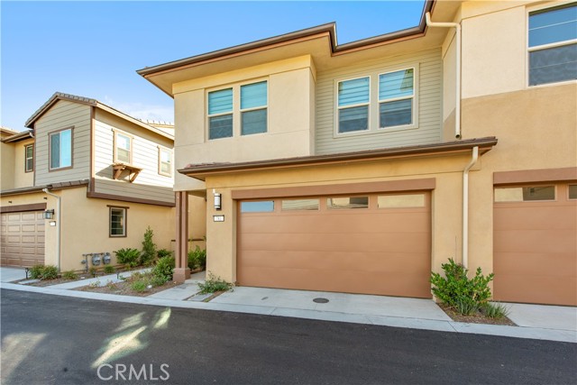 Front Image Thumbnail for CROC25247753