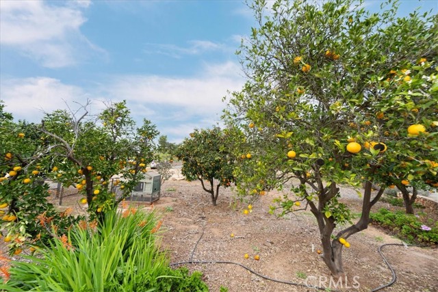 Detail Gallery Image 65 of 74 For 13511 Mcnally, Valley Center,  CA 92082 - 2 Beds | 1 Baths