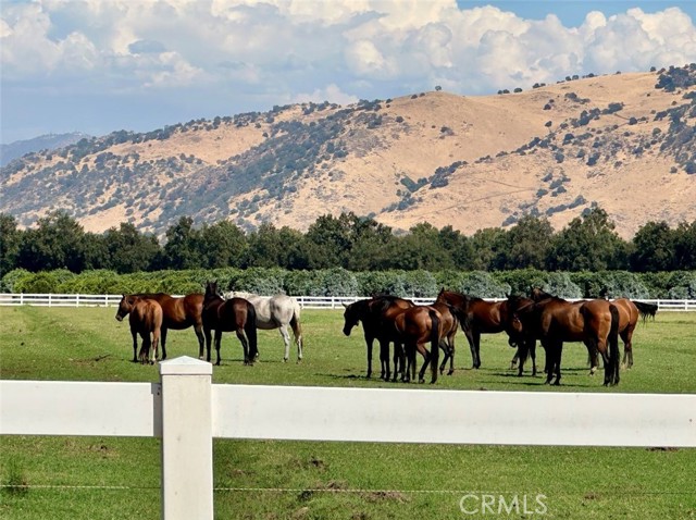 Detail Gallery Image 2 of 37 For 17281 E Belmont, Sanger,  CA 93657 - 2 Beds | 1 Baths