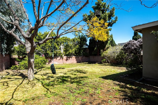 Parklike Backyard