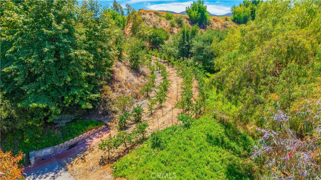 https://media.crmls.org/medias/f858b2a9-e3d0-4372-81dd-52536258d077.jpg?preset=X-Large