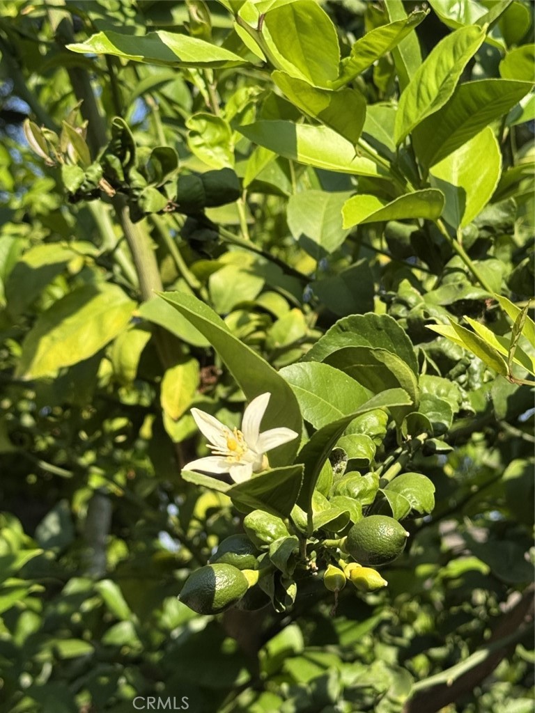 https://media.crmls.org/medias/f85d2cb8-61e9-402a-a002-d848d27870aa.jpg?preset=X-Large