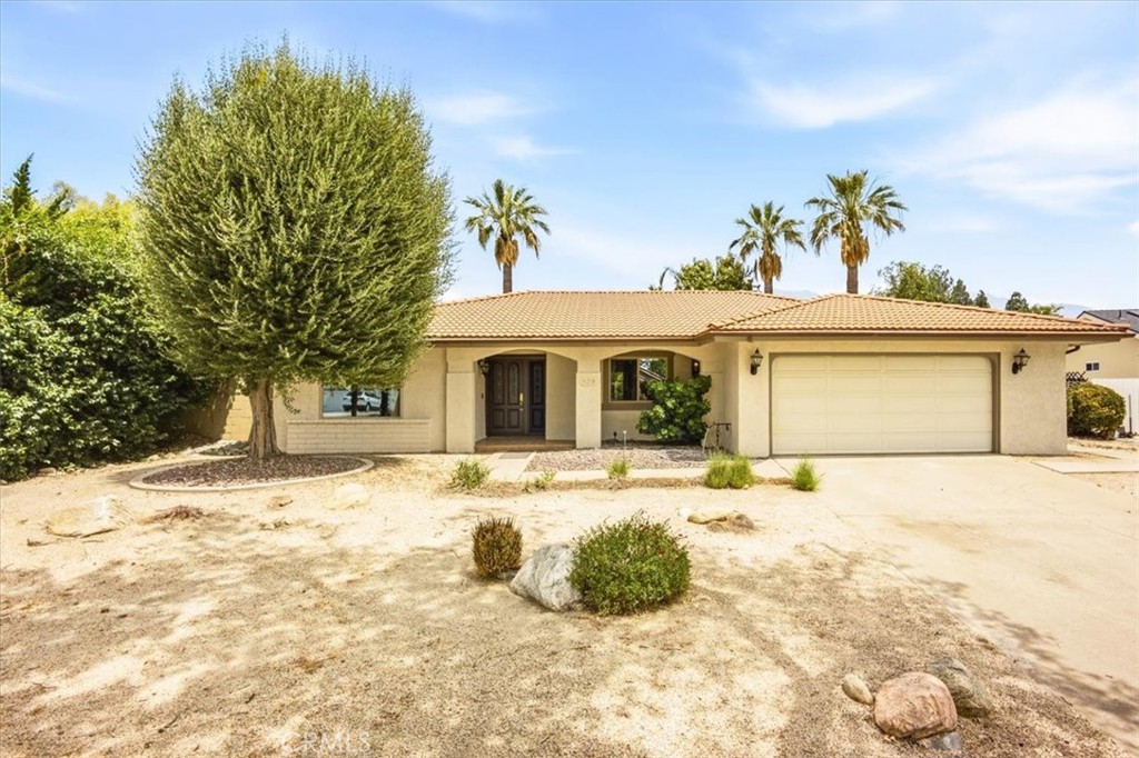929 W Pinto Court