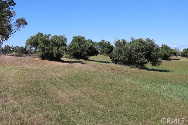 Detail Gallery Image 19 of 32 For 0 Carona Ave., Corning,  CA 96021 - – Beds | – Baths