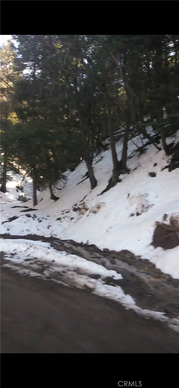 0 Saxon, Crestline CA: https://media.crmls.org/medias/f86bc7bd-b7d6-4983-9c59-58a767840353.jpg