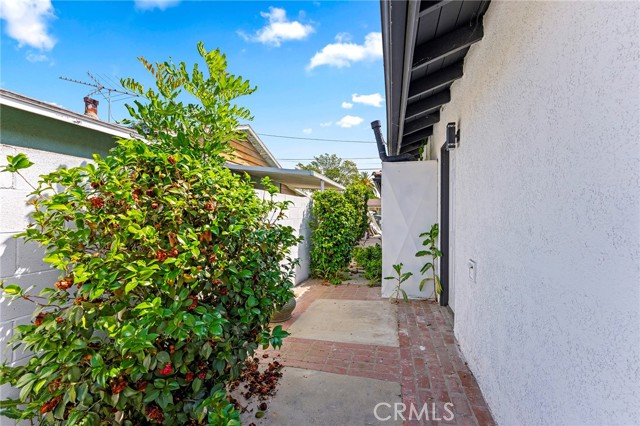 Front Image Thumbnail for CRWS26087812