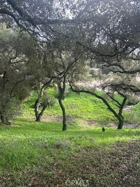 https://media.crmls.org/medias/f8725d50-cb81-43b1-93fc-eb31d0630c1a.jpg?preset=X-Large