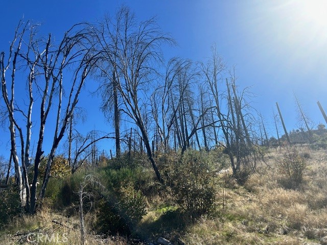 Detail Gallery Image 17 of 39 For 0 Craig Access, Feather Falls,  CA 95940 - – Beds | – Baths