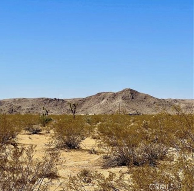 Detail Gallery Image 4 of 4 For 0 Dennis Ave, Joshua Tree,  CA 92252 - – Beds | – Baths