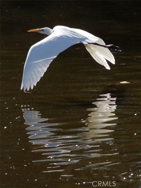 Detail Gallery Image 68 of 72 For 3153 Saint Francis Dr, Lakeport,  CA 95453 - 3 Beds | 2 Baths