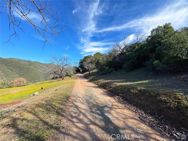 Image 47 of 65 For 8411 Highway 175