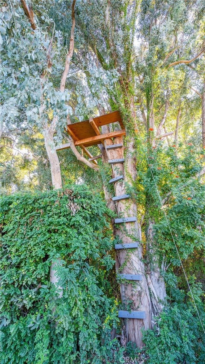 https://media.crmls.org/medias/f8881ae6-45a0-465f-9fd6-788059f69ef5.jpg?preset=X-Large