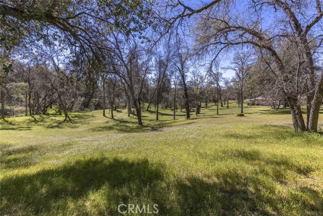 Detail Gallery Image 71 of 75 For 3587 Quail Ridge Dr, Mariposa,  CA 95338 - 4 Beds | 2/1 Baths