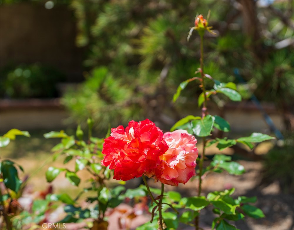 https://media.crmls.org/medias/f88fb90b-4cec-4e84-93b6-b1faaa7d2575.jpg?preset=X-Large