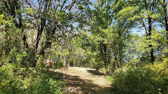 Detail Gallery Image 3 of 12 For 11890 Loch Lomond, Loch Lomond,  CA 95461 - – Beds | – Baths