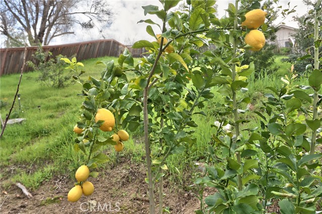 Detail Gallery Image 41 of 42 For 45303 Esmerado Ct, Temecula,  CA 92592 - 3 Beds | 2/1 Baths