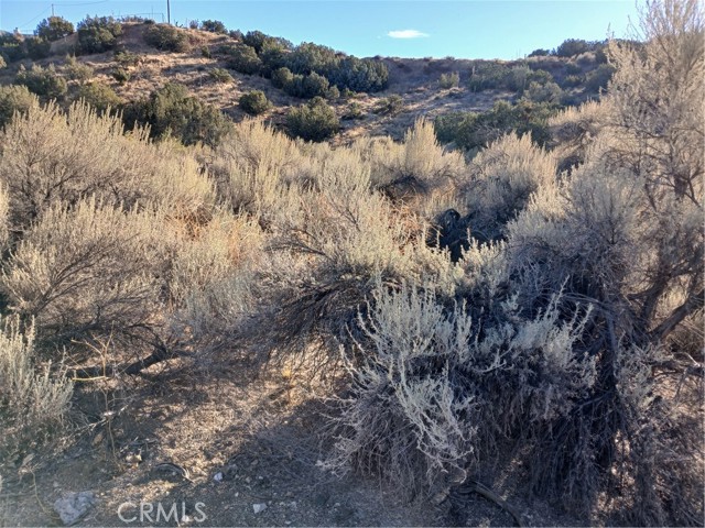 MLS #SR25263699 image #8