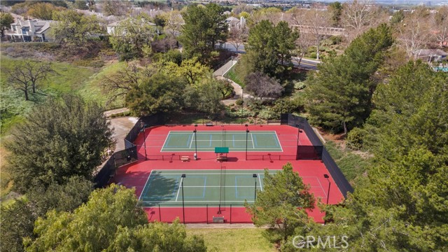 Image 37 of 43 For 26334 Emerald Dove