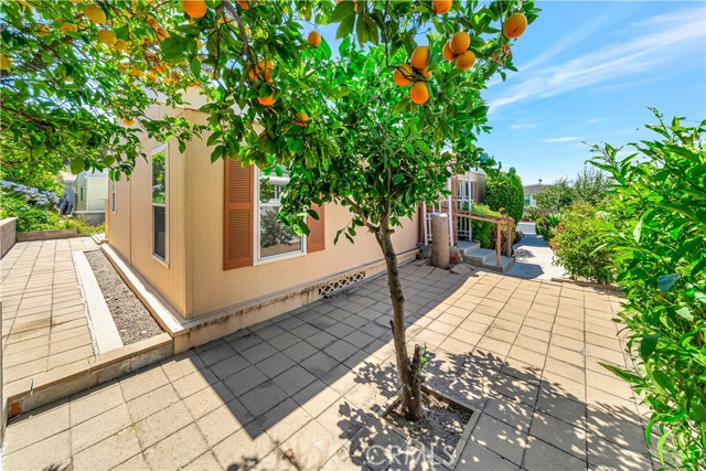 Detail Gallery Image 32 of 52 For 24 Gitana Ave #164,  Camarillo,  CA 93012 - 3 Beds | 2 Baths