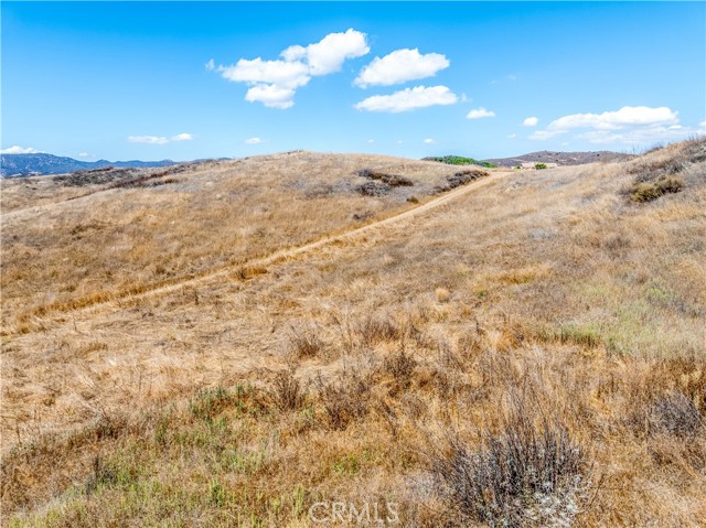 MLS #SW25193539 image #49