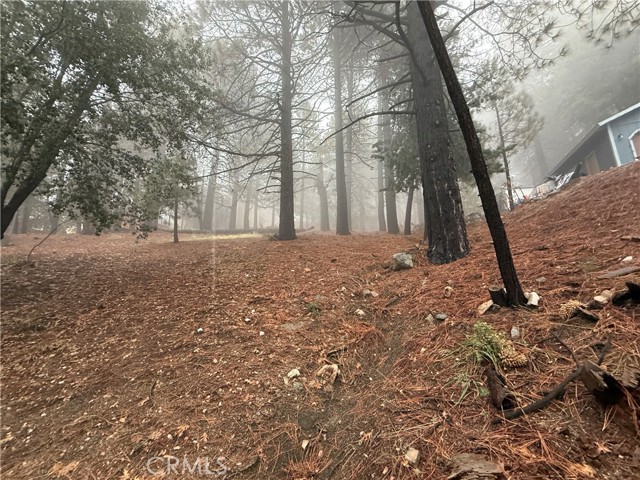 Detail Gallery Image 9 of 14 For 0 Poplar, Running Springs,  CA 92382 - – Beds | – Baths