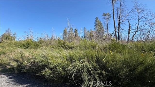 Detail Gallery Image 9 of 12 For 0 Starcrest Ln, Berry Creek,  CA 95916 - – Beds | – Baths